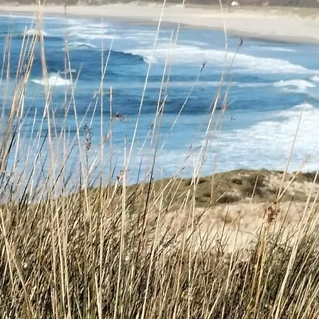 El Pommier Finisterra